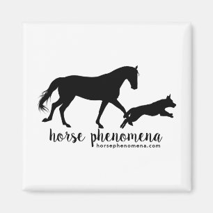 Horse Phenomena Magnet Magneet