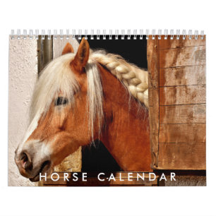 Horse Photo Calendrier 2026 Beau calendrier mural