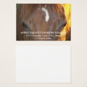 Horse Photo Equestrian Stables Business Card (Devant & derrière)