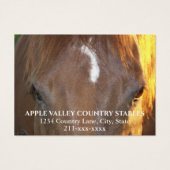 Horse Photo Equestrian Stables Business Card (Devant)