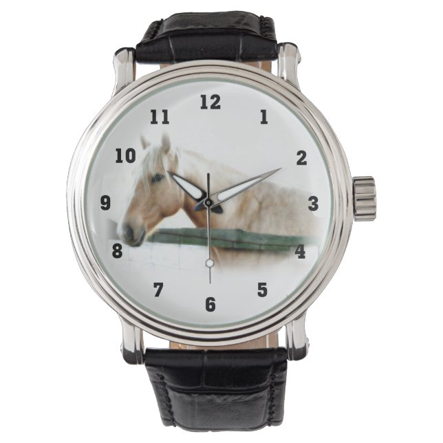 Horse Photo Montres (devant)