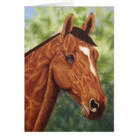 Horse Portrait (Voorkant)