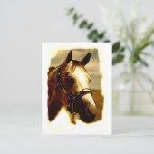 Horse Portrait Briefkaart (Staand voorkant)