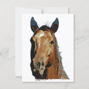 Horse Portrait Briefkaart