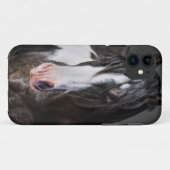 Horse Portrait II Case-Mate iPhone Case (Achterkant (horizontaal))