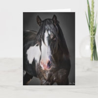 Horse Portrait II