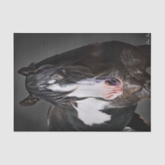 Horse Portrait II Tissuepapier (Voorkant)