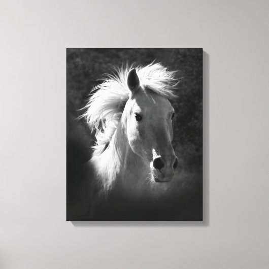 Horse Portrait V Canvas Afdruk (Voorkant)