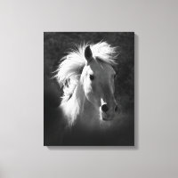 Horse Portrait V