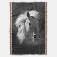Horse Portrait V