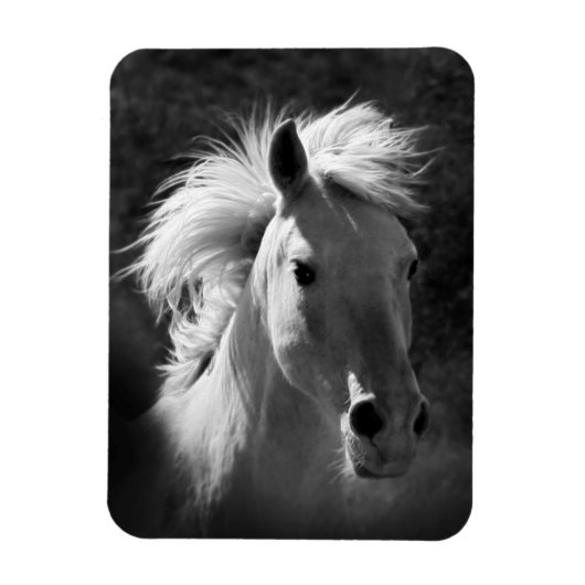 Horse Portrait V Magneet (Verticaal)
