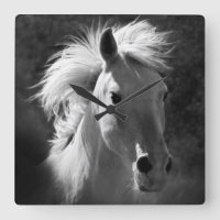 Horse Portrait V
