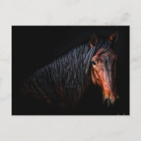 Horse Portrait VII