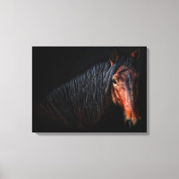 Horse Portrait VII