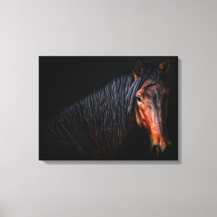 Horse Portrait VII Canvas Afdruk