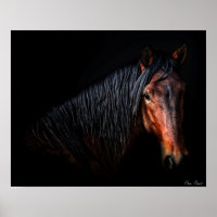 Horse Portrait VII