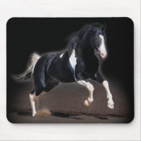 Horse portret VIII