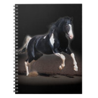 Horse portret VIII