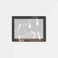 Horse portret VIII
