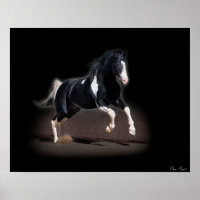 Horse portret VIII