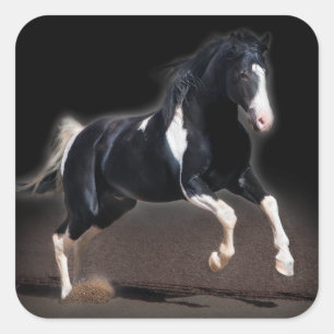 Horse portret VIII Vierkante Sticker