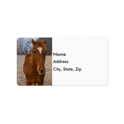 Horse pose etiket (Voorkant)