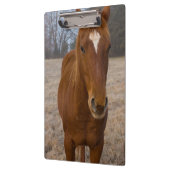 Horse pose klembord (Links)