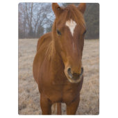 Horse pose klembord (Achterkant)