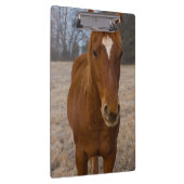 Horse pose klembord (Rechts)
