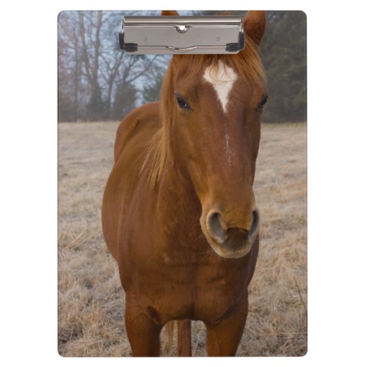 Horse pose klembord (Voorkant)