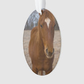 Horse pose ornament (voorkant)