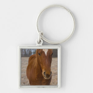 Horse pose sleutelhanger