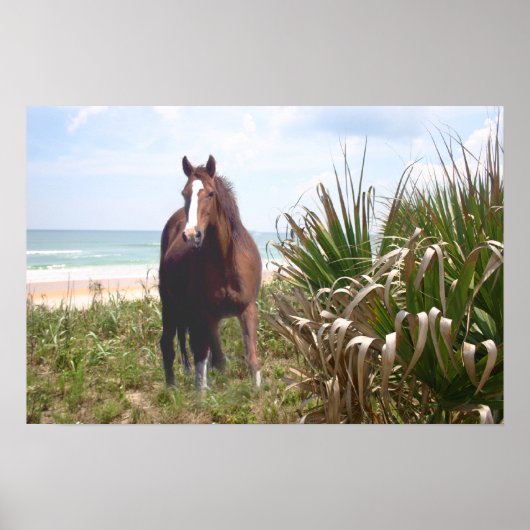 Horse Poster Beach (Devant)