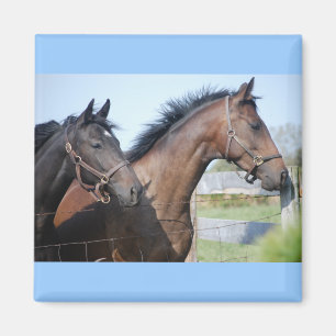 Horse Race Finish Line Magneet
