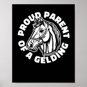 Horse Rider Gelding - Paardrijden Poster