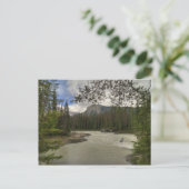 Horse rivier briefkaart (Staand voorkant)