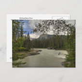 Horse rivier briefkaart (Voorkant / Achterkant)