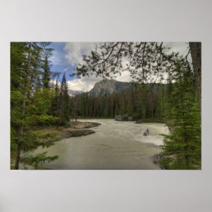 Horse rivier poster