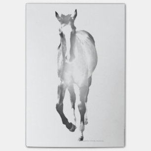 Horse Shadow Post-it® Notes