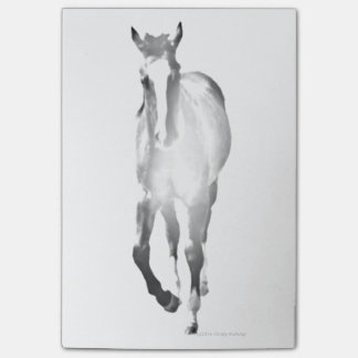 Horse Shadow Post-it® Notes