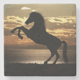 Horse Silhouette tegen de zon Stenen Onderzetter