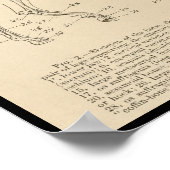 Horse Skelet Anatomie Grafiek Poster (Hoek)