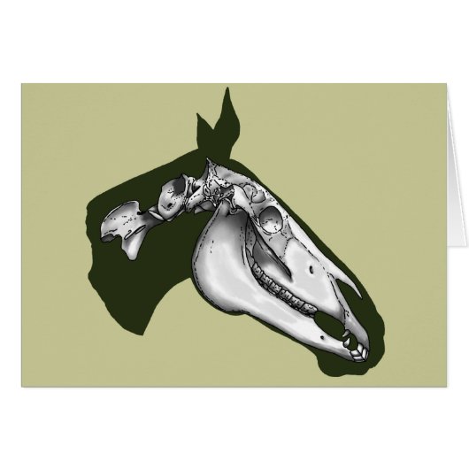 Horse Skeleton (Voorkant Horizontaal)