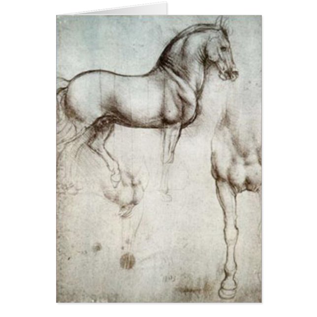 Horse Sketch (Voorkant)