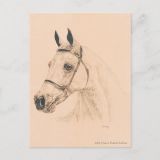 Horse Sketch van Susan Pelisek Kolberg Briefkaart