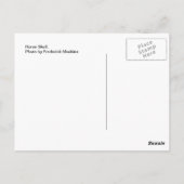 Horse Skull Briefkaart (Achterkant)