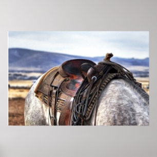 Horse Stallion Saddle Natuur Wall Poster
