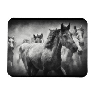 Horse Stampede Magnet Magneet
