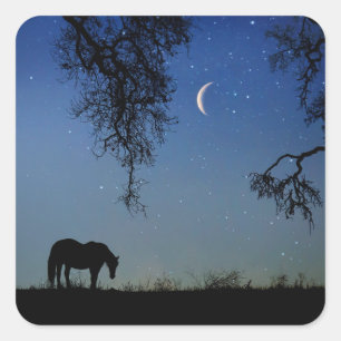 Horse Stickers Paarden en Crescent Moon Fantasy