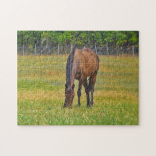  Horse Texas Pasture Boerderij Puzzel